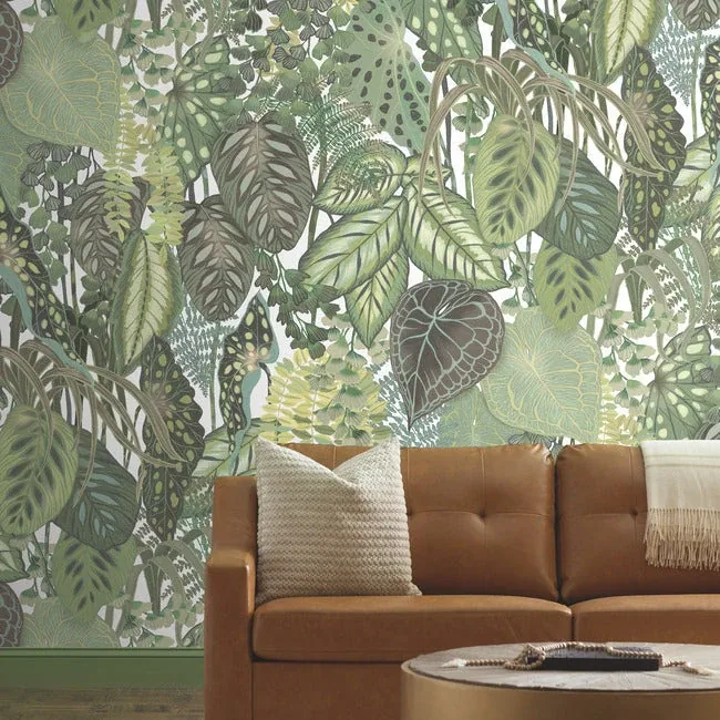 York Wallcoverings Greenery Cotton Wall Mural - SKU GO8332M