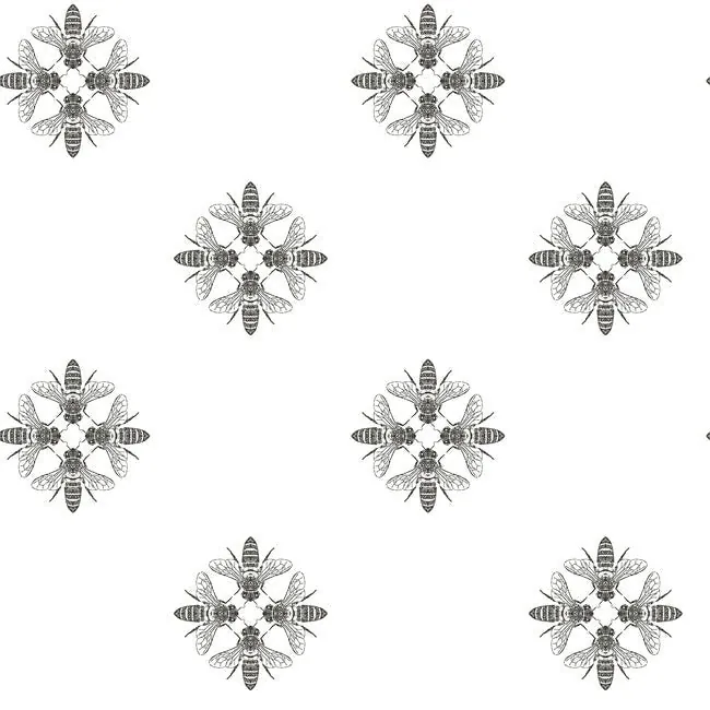 ON1643 | Honey Bee Black & White Wallpaper