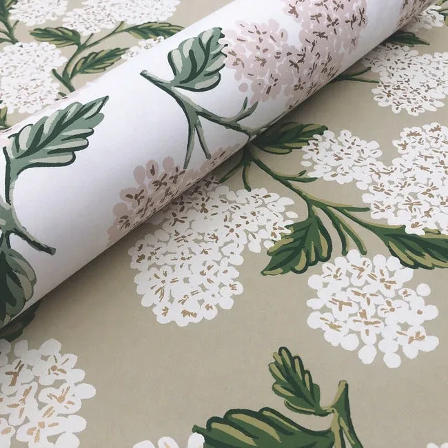 York Wallcoverings Hydrangea Beige & Pink Wallpaper - SKU RP7393