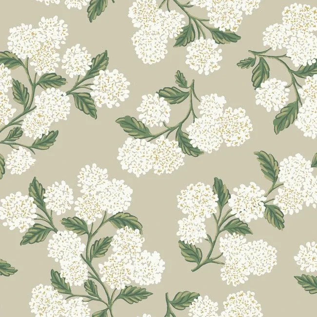RP7394 | Hydrangea Beige Wallpaper