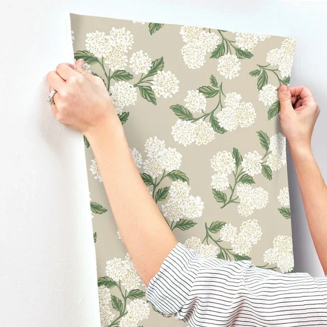 York Wallcoverings Hydrangea Beige Wallpaper - SKU RP7394