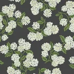York Wallcoverings Hydrangea Black & White Wallpaper - SKU RI5146