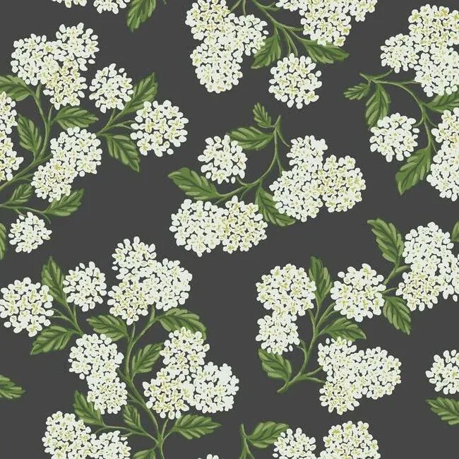 RI5146 | Hydrangea Black & White Wallpaper