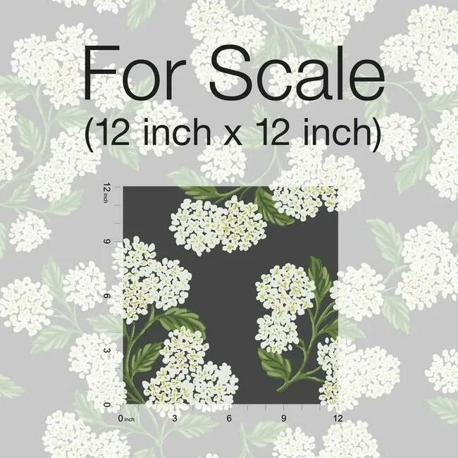 York Wallcoverings Hydrangea Black & White Wallpaper - SKU RI5146