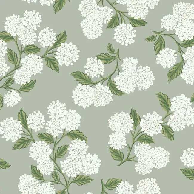 RI5144 | Hydrangea Grey Wallpaper