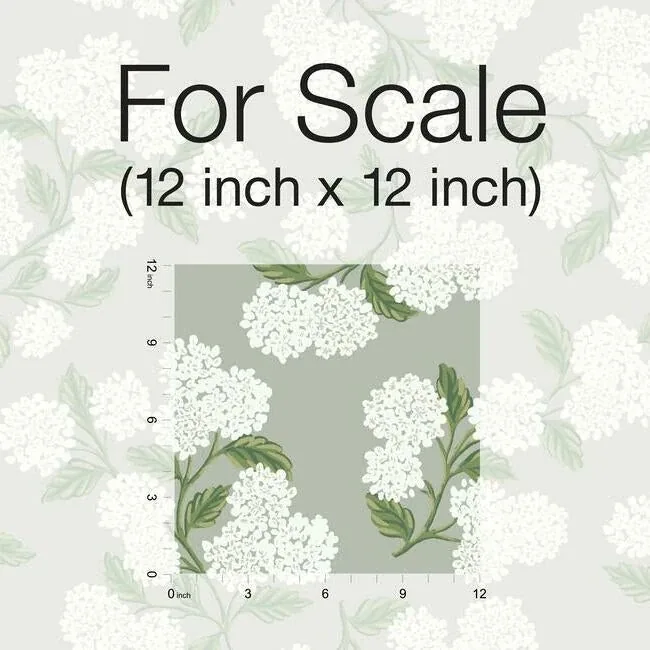 York Wallcoverings Hydrangea Grey Wallpaper - SKU RI5144