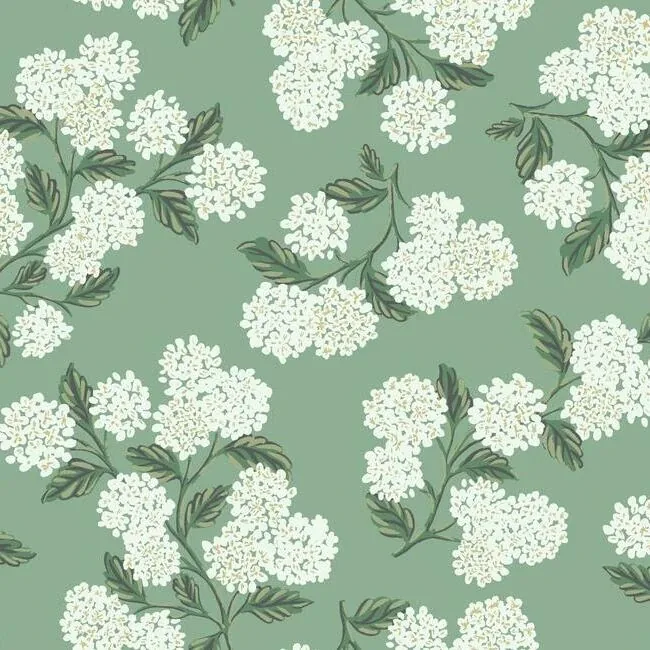 RI5145 | Hydrangea Jade Wallpaper