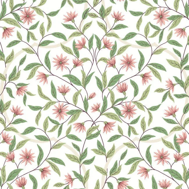 GO8252 | Jasmine Coral Wallpaper