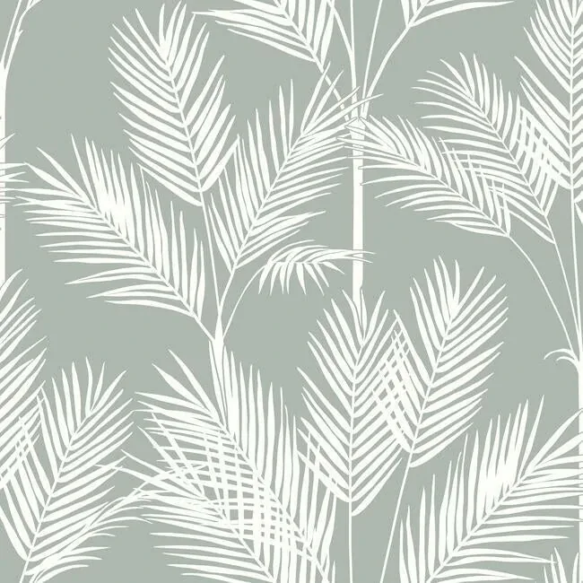 York Wallcoverings King Palm Silhouette Grey Wallpaper - SKU CV4412