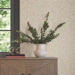 York Wallcoverings Lemuria Beige Wallpaper - SKU SI6571