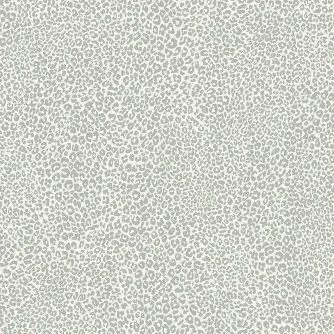 York Wallcoverings Leopard King Grey Wallpaper - SKU TC2683