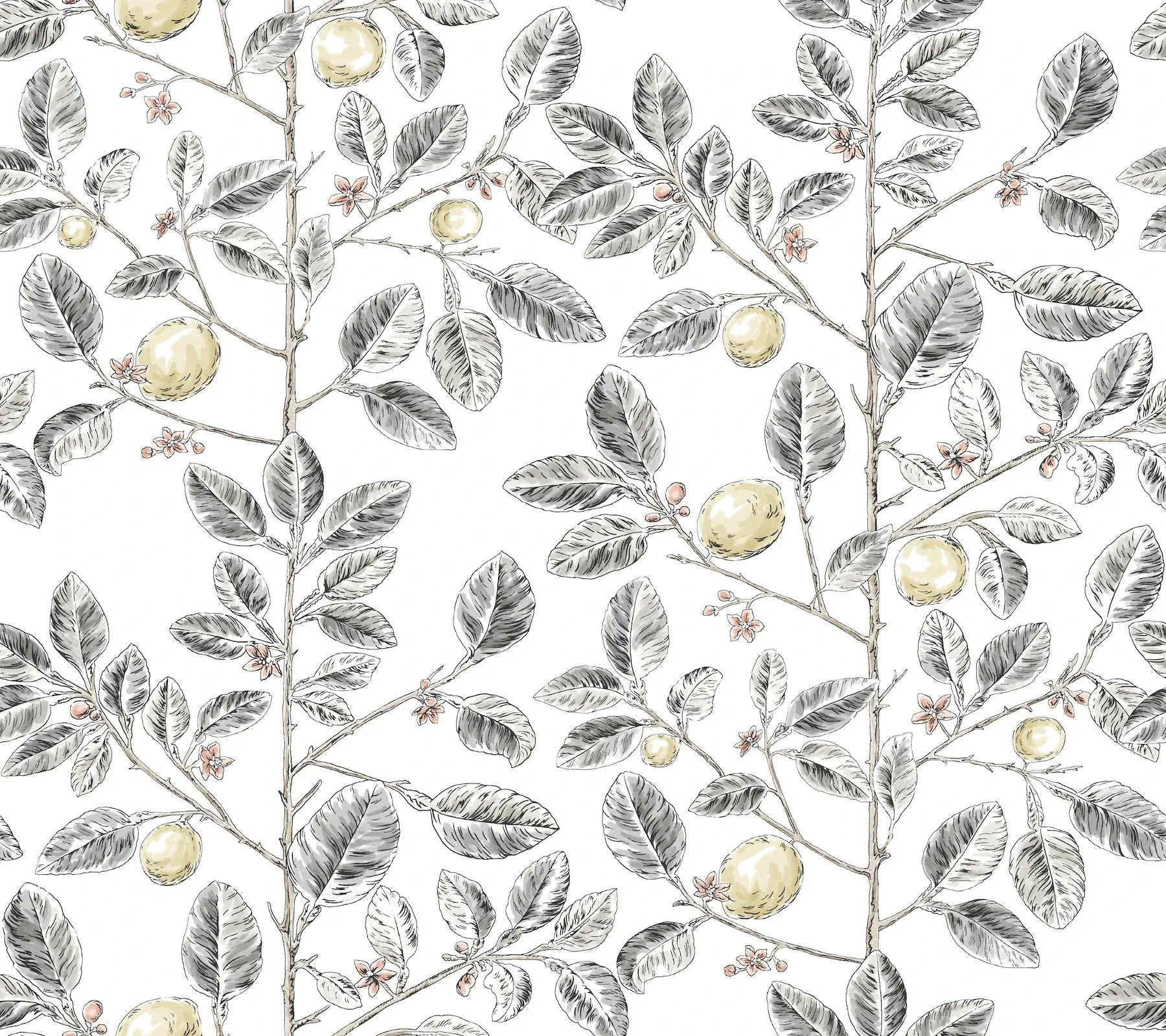 York Wallcoverings Limoncello Toile Black Wallpaper - SKU RT7912