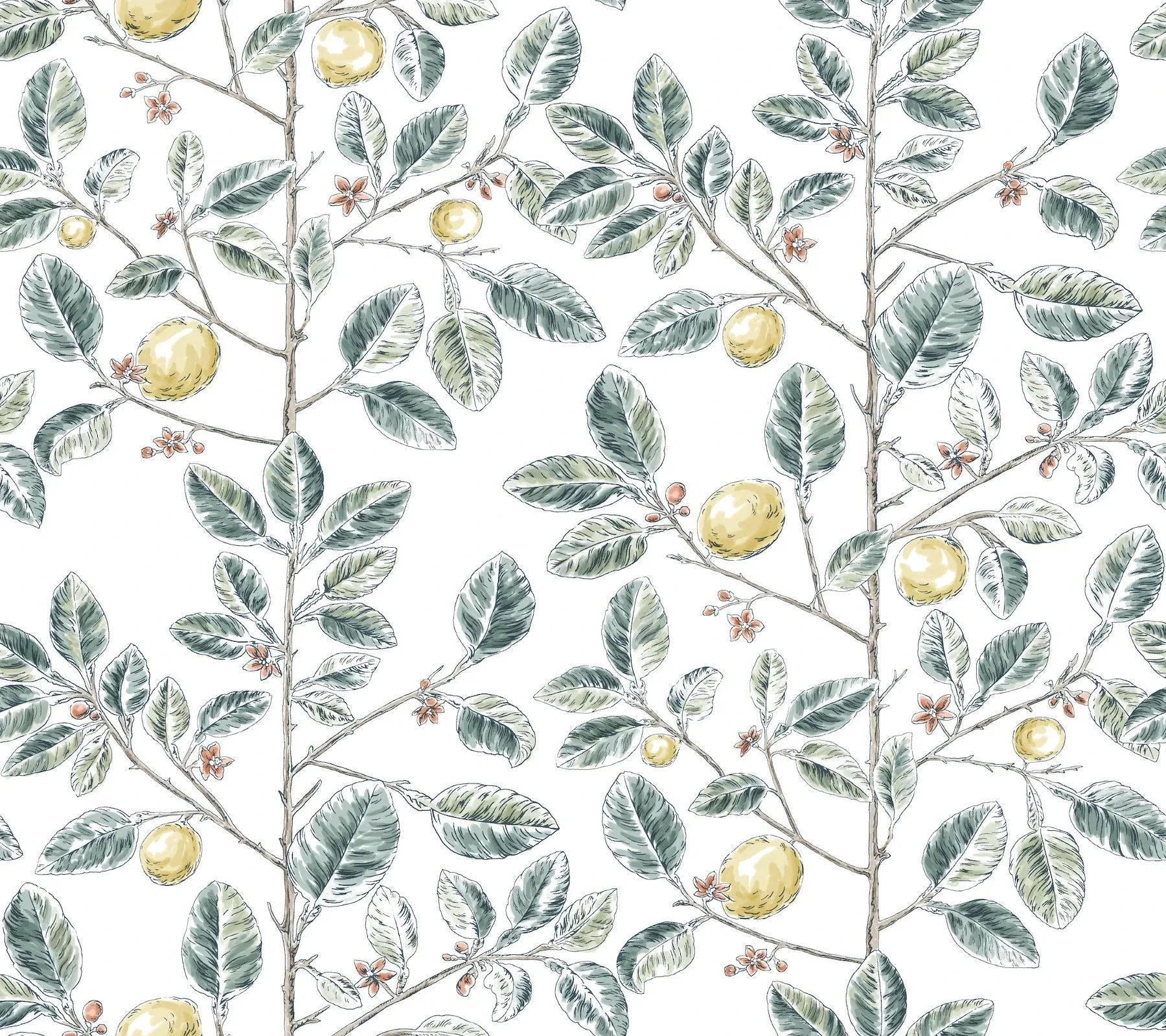 RT7914 | Limoncello Toile Forest Wallpaper