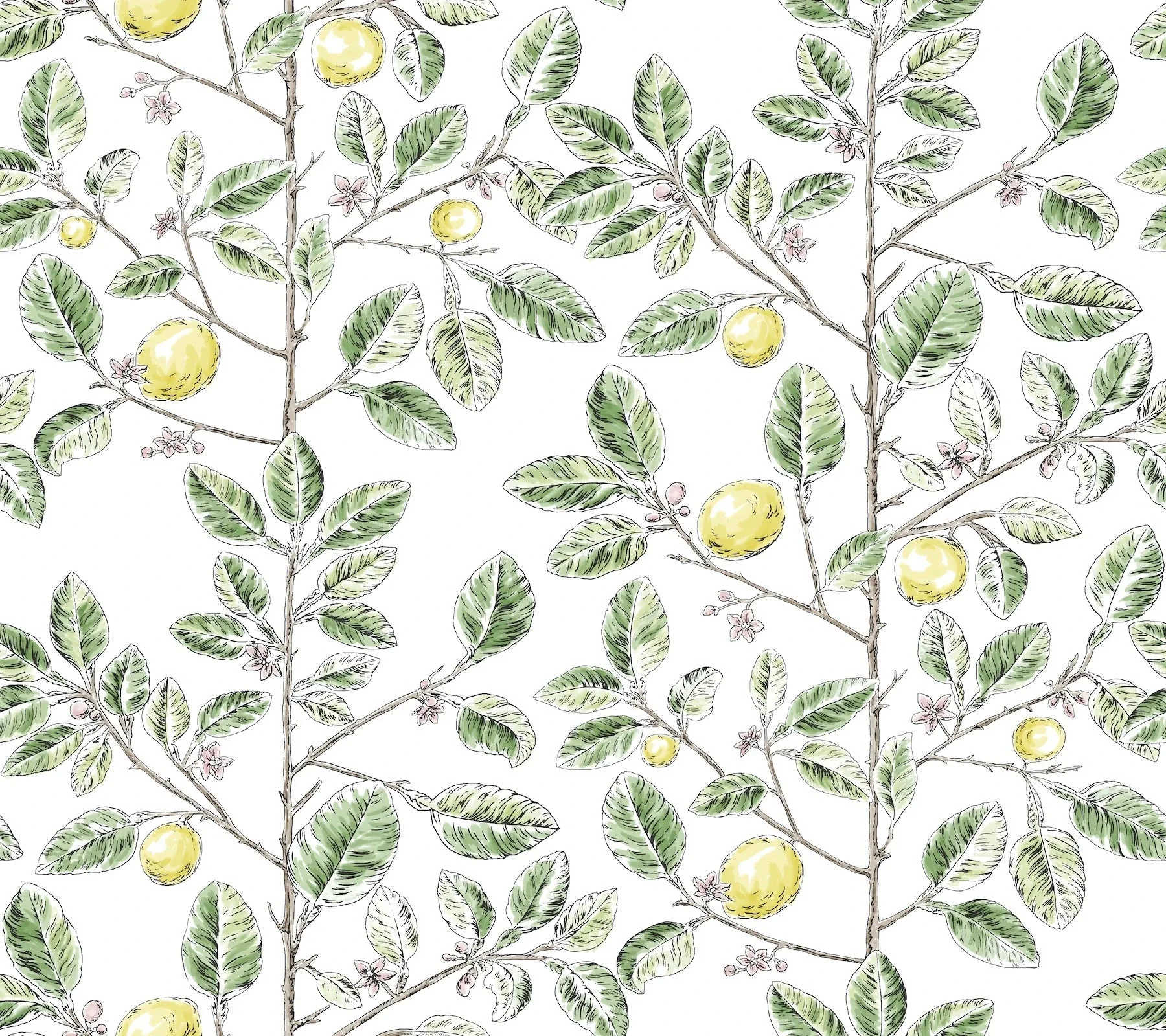 RT7911 | Limoncello Toile Green Wallpaper