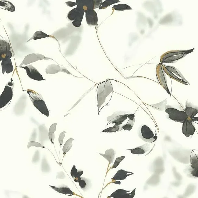 York Wallcoverings Linden Flower Black Wallpaper - SKU SO2442