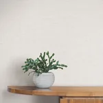 York Wallcoverings Loom White Wallpaper - SKU SI26143