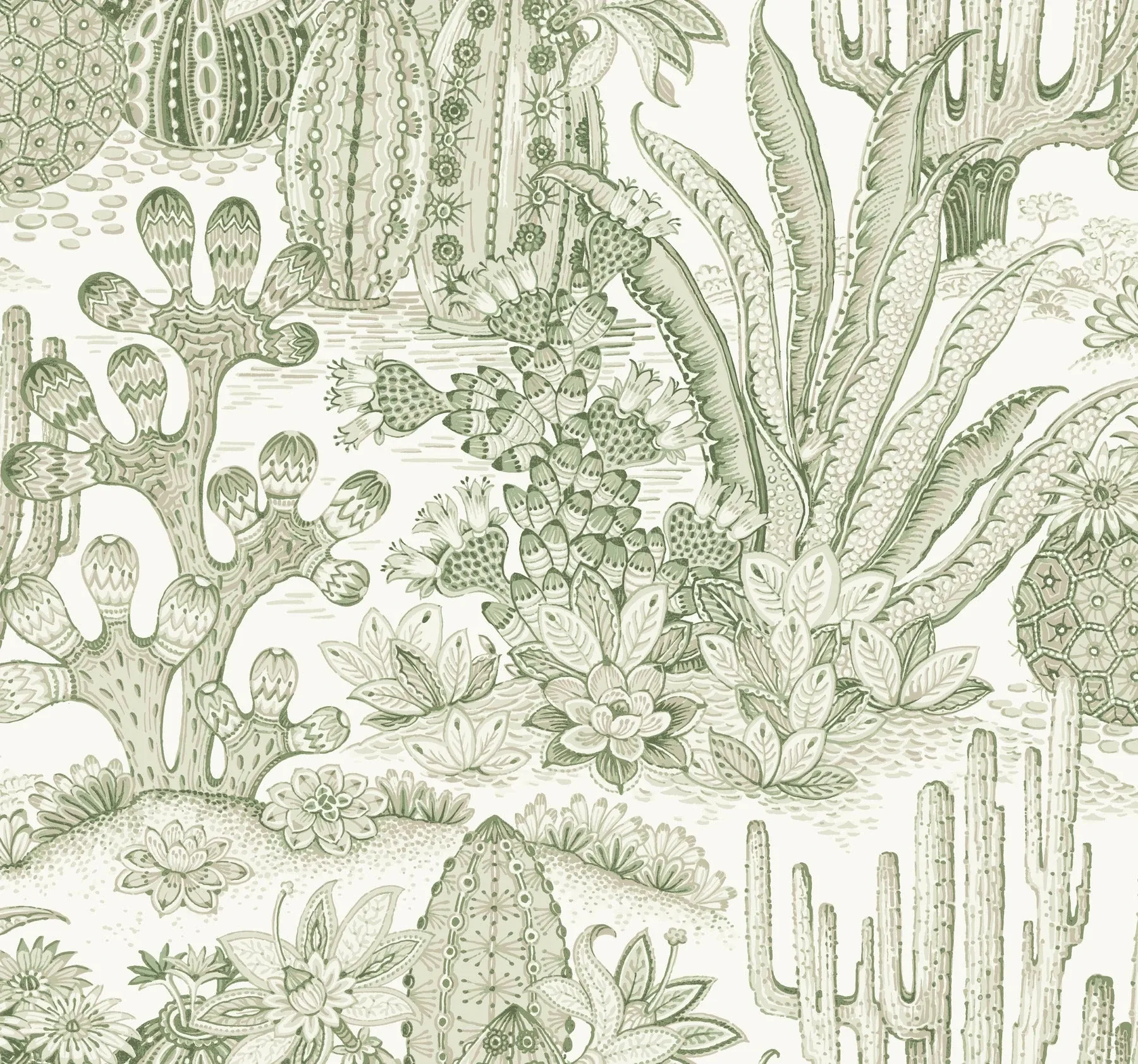 MT5631 | Lotus Land Cacti Palm Wallpaper