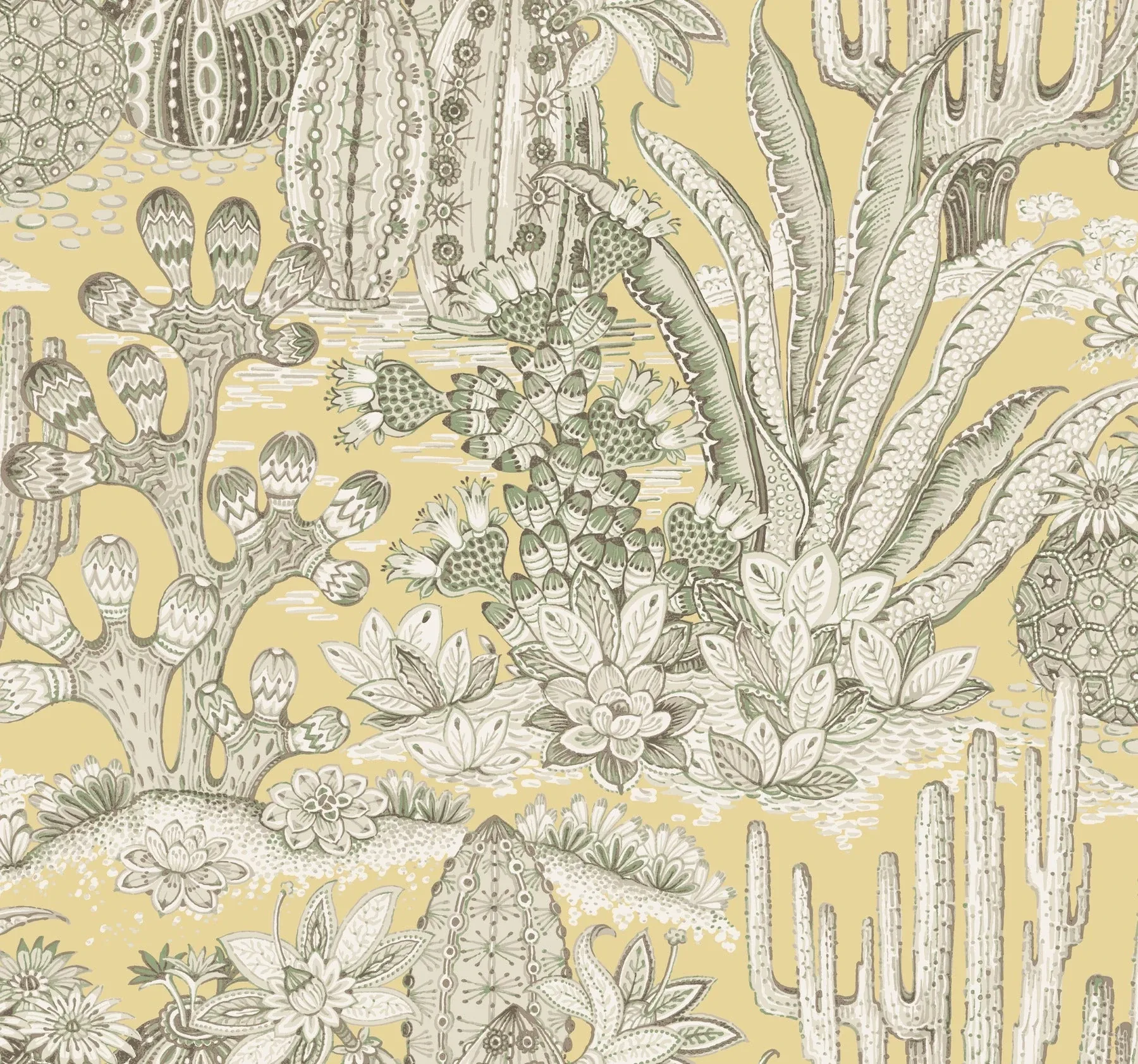 MT5635 | Lotus Land Cacti Sunshine Wallpaper