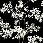 York Wallcoverings Lunaria Silhouette Black & White Wallpaper | Wallpaper Twins York Wallcoverings Lunaria Silhouette Black & White Wallpaper - SKU BL1804