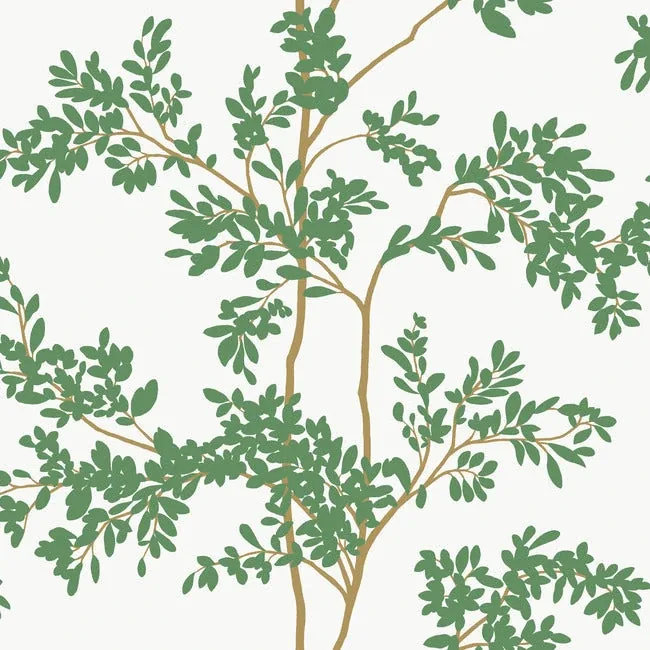 York Wallcoverings Lunaria Silhouette White & Green Wallpaper - SKU BL1801