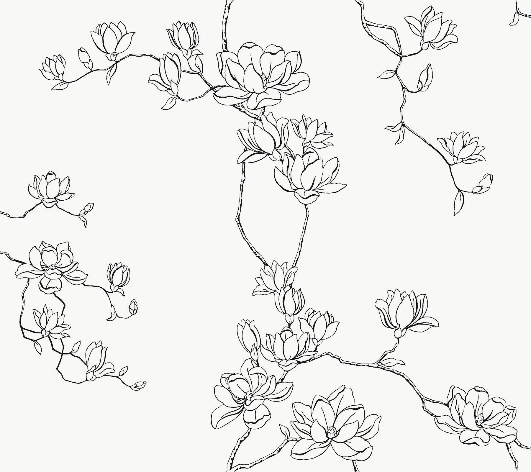 MF4731 | Magnolia Black Branches Wallpaper