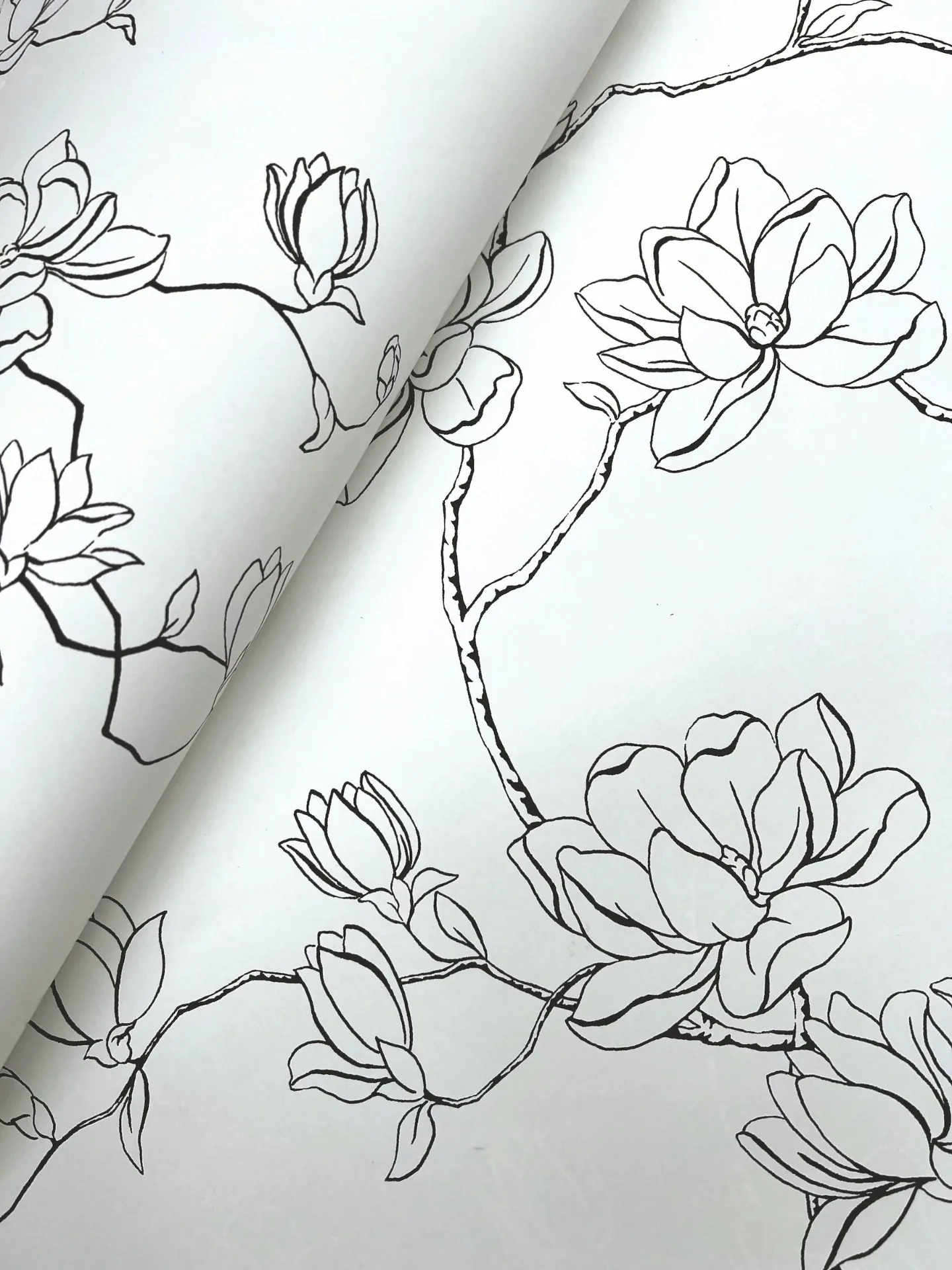 York Wallcoverings Magnolia Black Branches Wallpaper | Wallpaper Twins York Wallcoverings Magnolia Black Branches Wallpaper - SKU MF4731