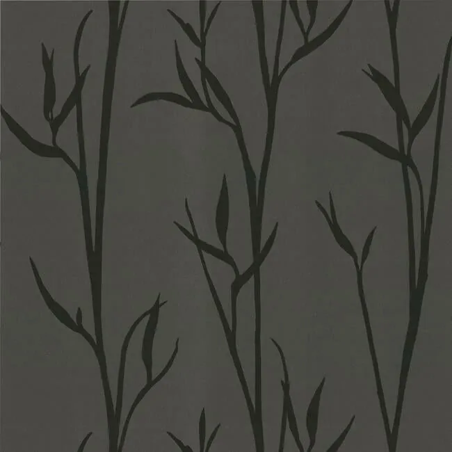 DA3511N | Matcha Black Wallpaper