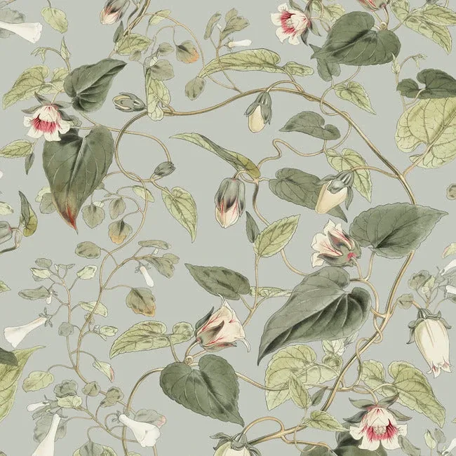 BL1712 | Moon Flower Dove Wallpaper