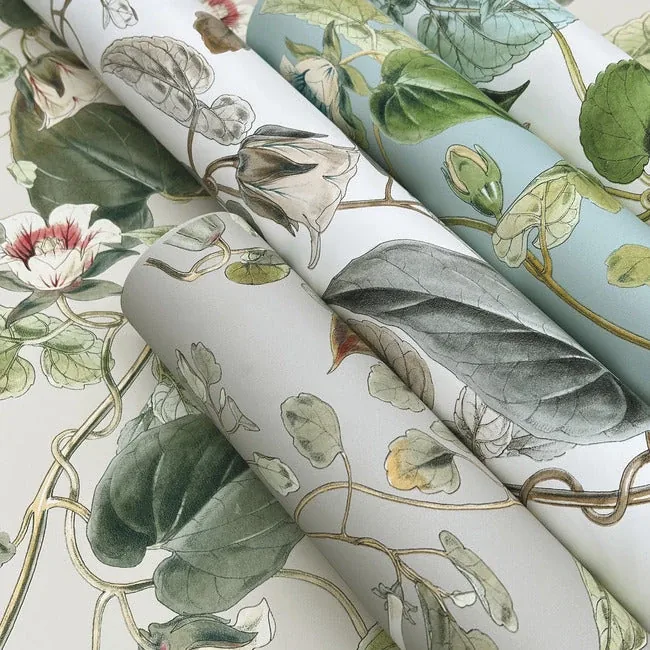 York Wallcoverings Moon Flower Dove Wallpaper | Wallpaper Twins York Wallcoverings Moon Flower Dove Wallpaper - SKU BL1712