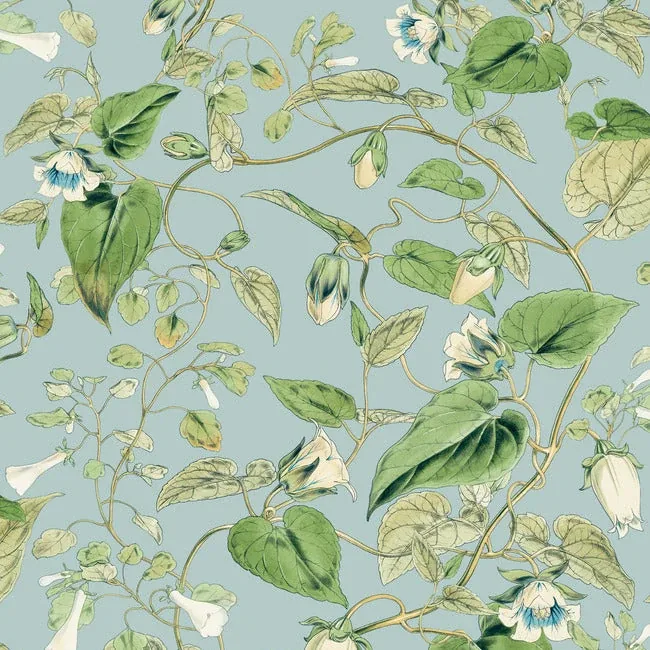 BL1714 | Moon Flower Sky Blue Wallpaper