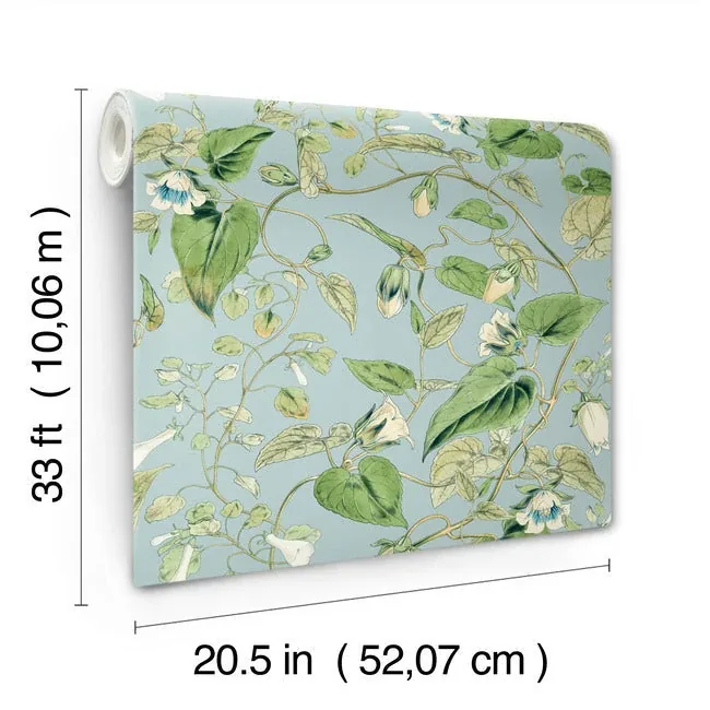 York Wallcoverings Moon Flower Sky Blue Wallpaper | Wallpaper Twins York Wallcoverings Moon Flower Sky Blue Wallpaper - SKU BL1714