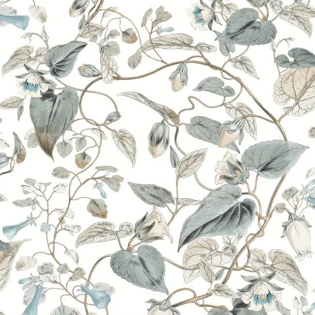 BL1715 | Moon Flower White & Blue Wallpaper