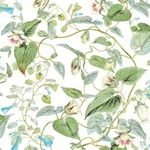 York Wallcoverings Moon Flower White Wallpaper - SKU BL1711