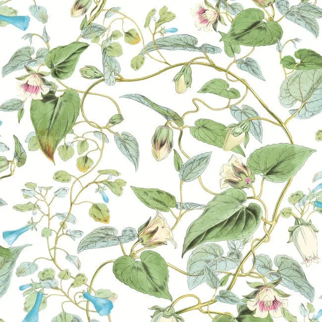 York Wallcoverings Moon Flower White Wallpaper - SKU BL1711
