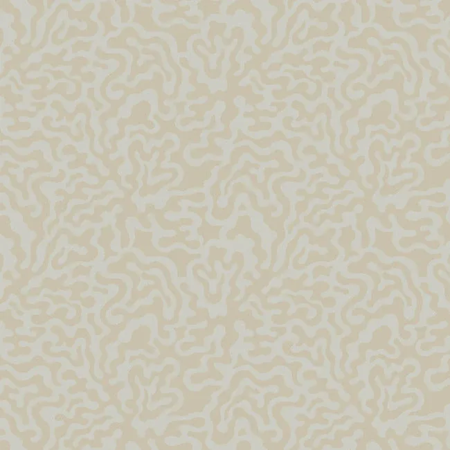 AG2023 | Nebulous Cloud Grey & Gold Wallpaper