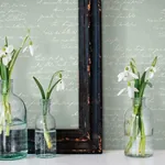 York Wallcoverings Noteworthy Green & White Wallpaper - SKU MH1609
