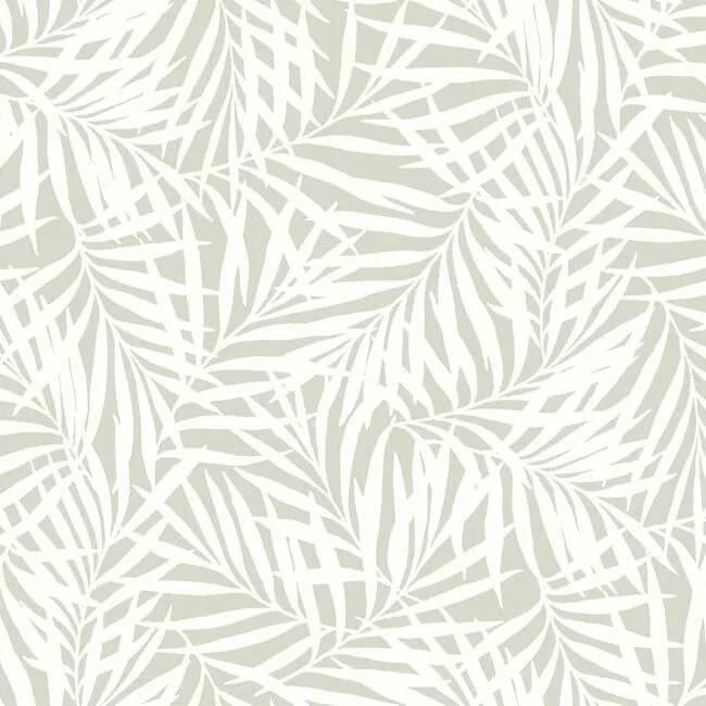 CV4436 | Oahu Fronds Cream & Off White Wallpaper