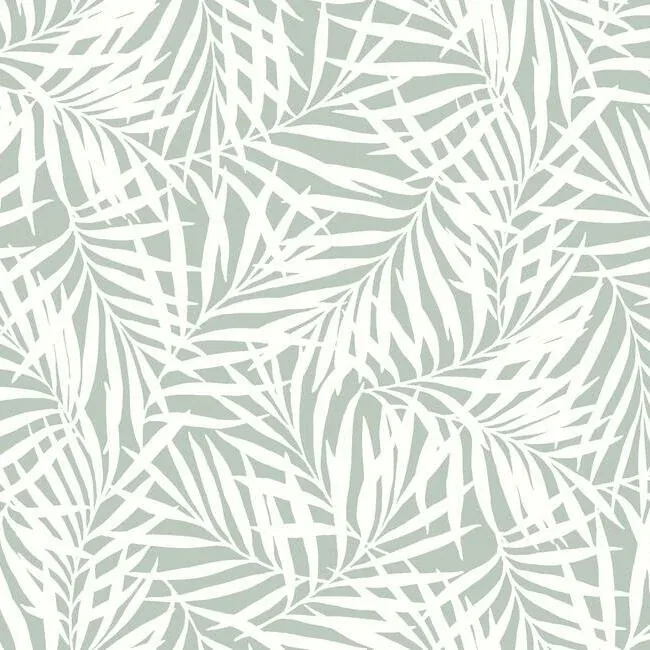 CV4434 | Oahu Fronds Light Green & White Wallpaper