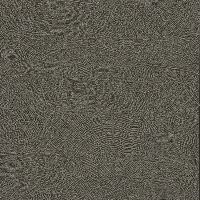 ND3064N | On Deck Grey & Brown Wallpaper