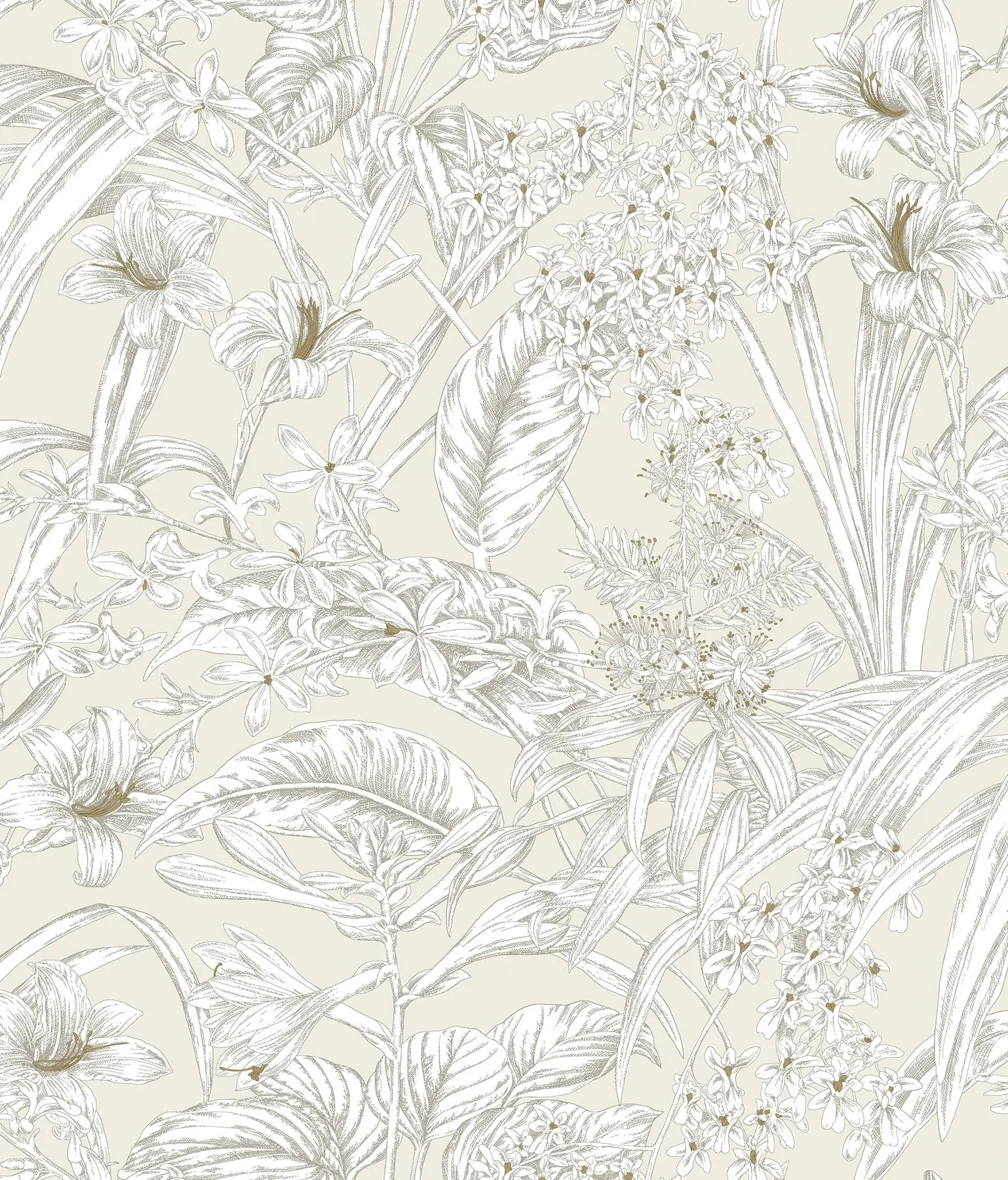 RT7883 | Orchid Conservatory Toile Beige & Taupe Wallpaper