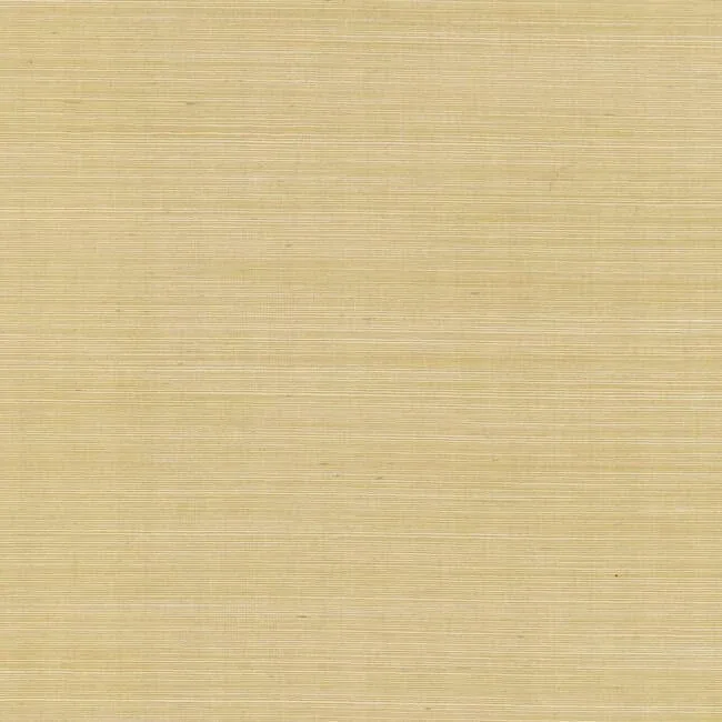 RI5185 | Palette Gold Metallic Wallpaper