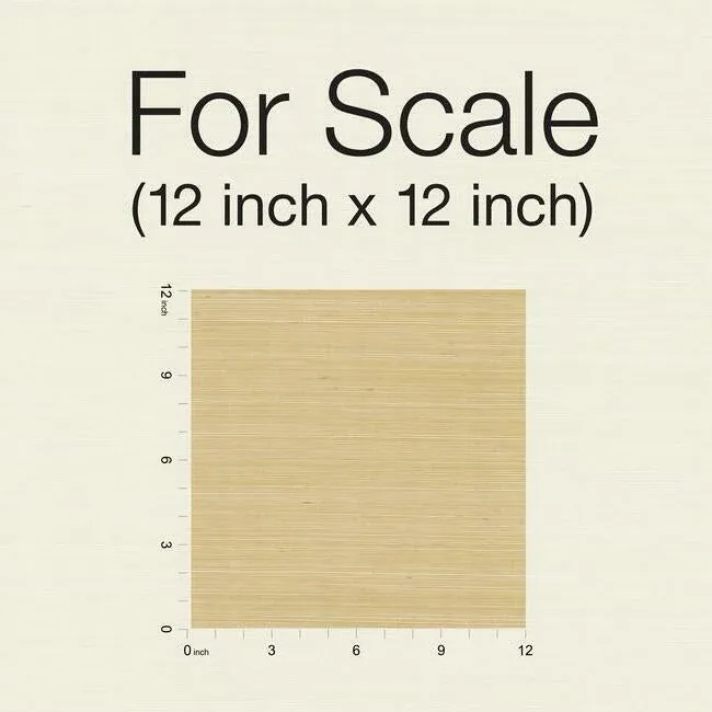 York Wallcoverings Palette Gold Metallic Wallpaper - SKU RI5185