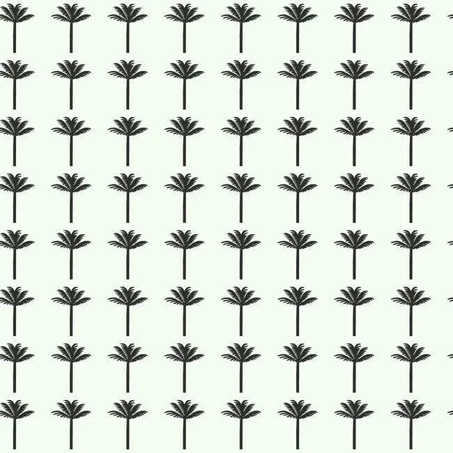 CV4417 | Palm Bay Black Wallpaper