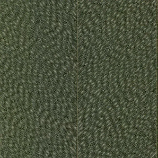 TC2693 | Palm Chevron Wallpaper