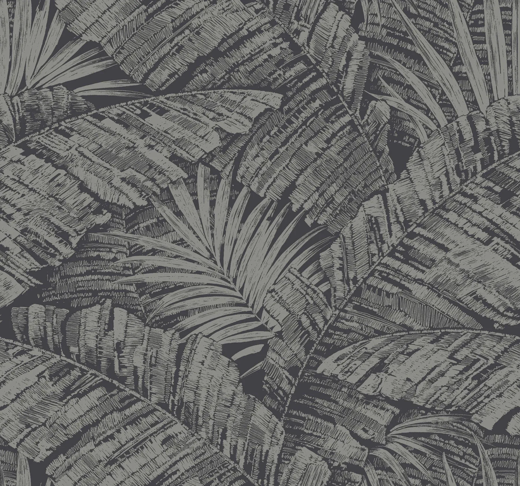 RT7923 | Palm Cove Toile Silver & Black Wallpaper