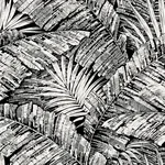 York Wallcoverings Palm Cove Toile White & Black Wallpaper - SKU RT7921