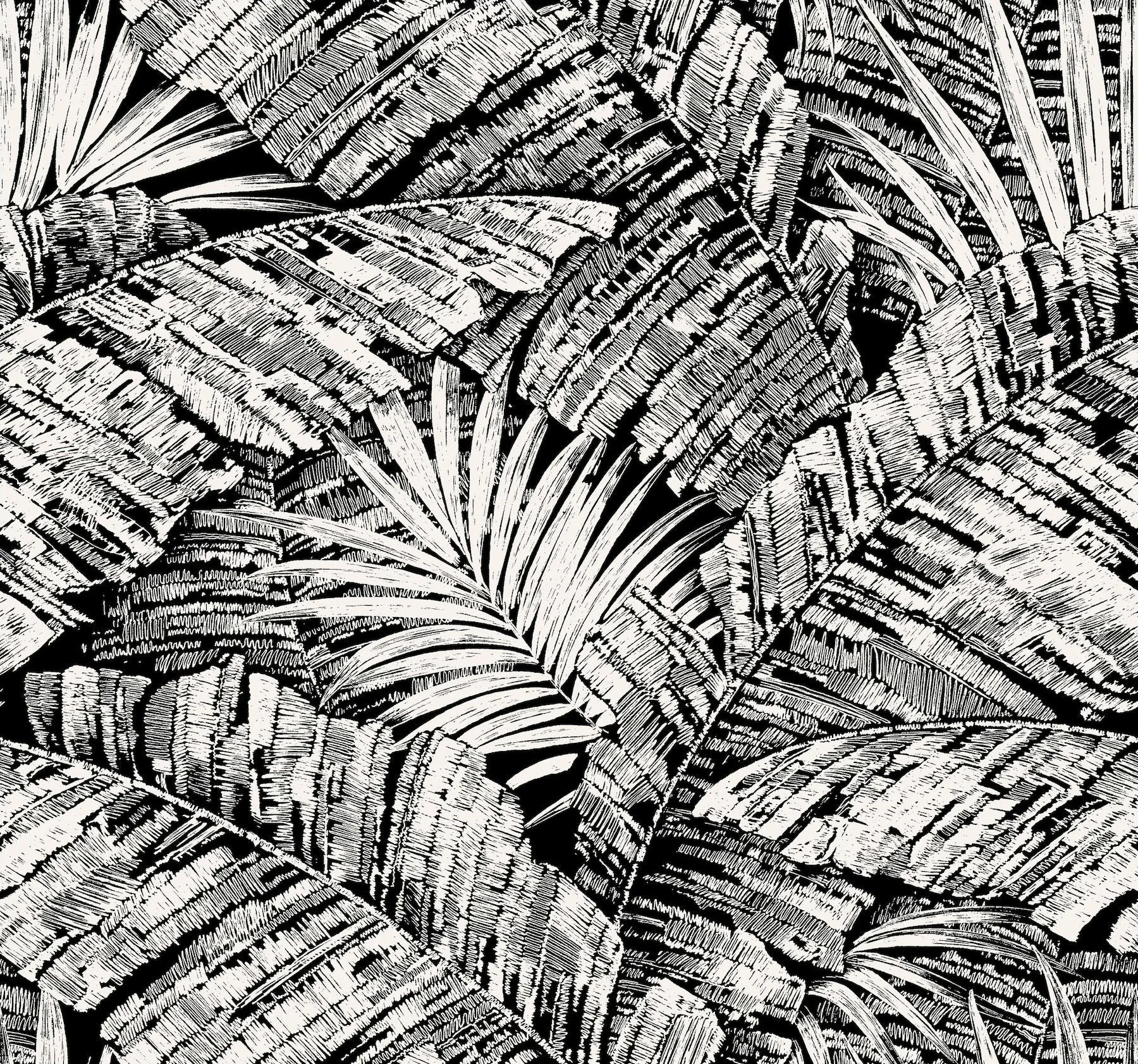 RT7921 | Palm Cove Toile White & Black Wallpaper