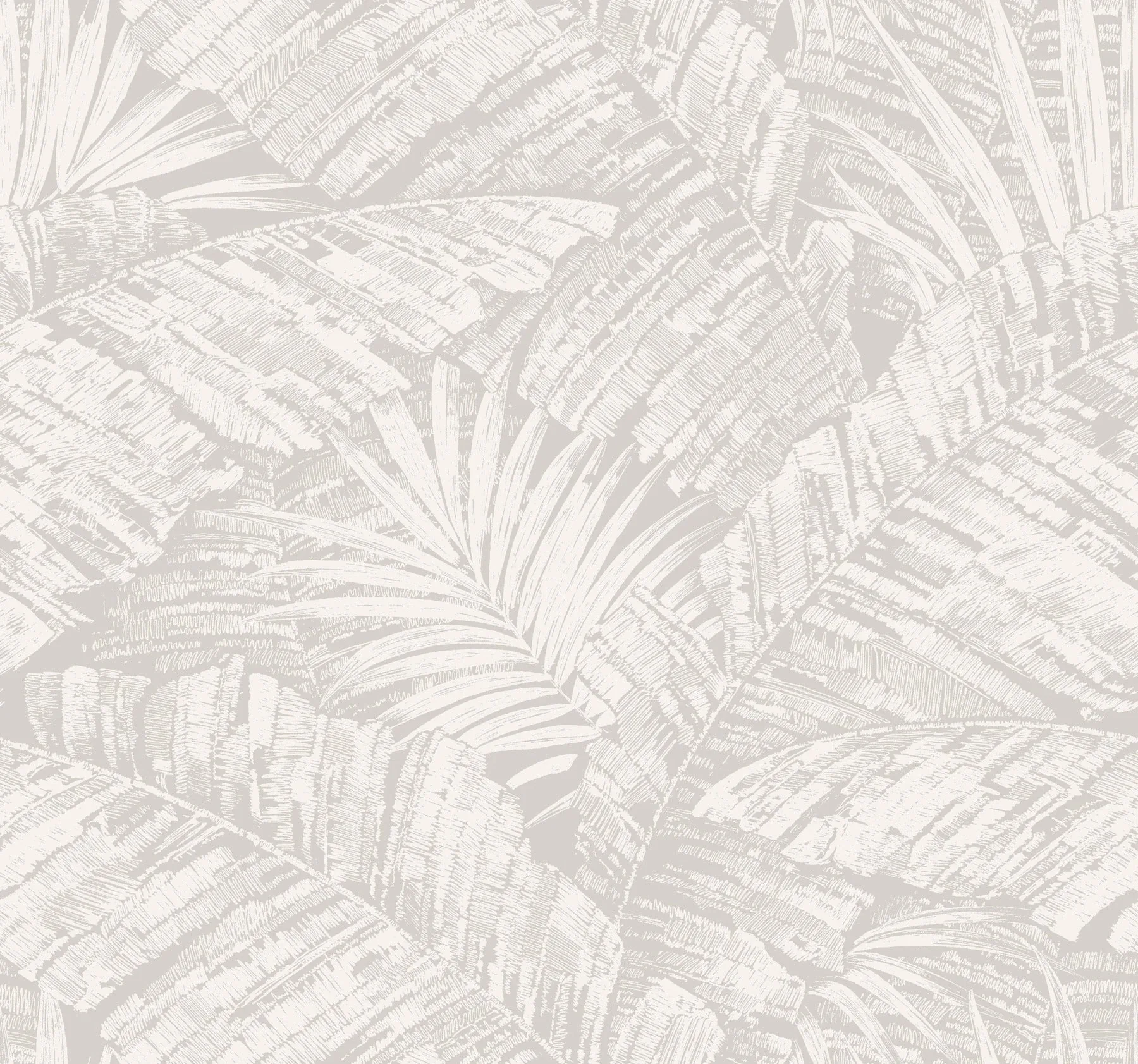 RT7922 | Palm Cove Toile White & Grey Wallpaper