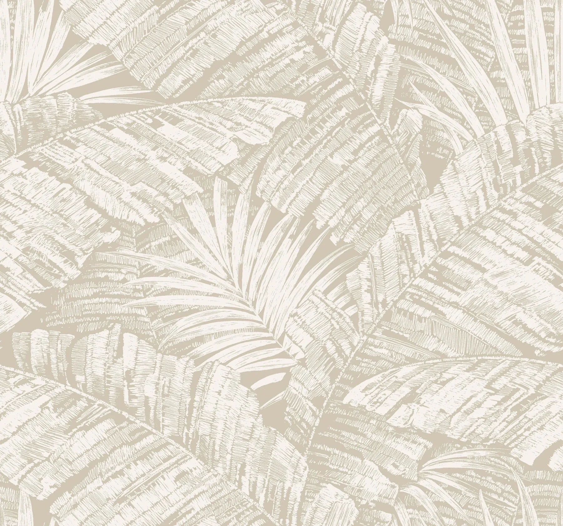 York Wallcoverings Palm Cove Toile White & Taupe Wallpaper - SKU RT7926