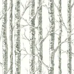 York Wallcoverings Paper Birch White & Grey Wallpaper - SKU BW3901